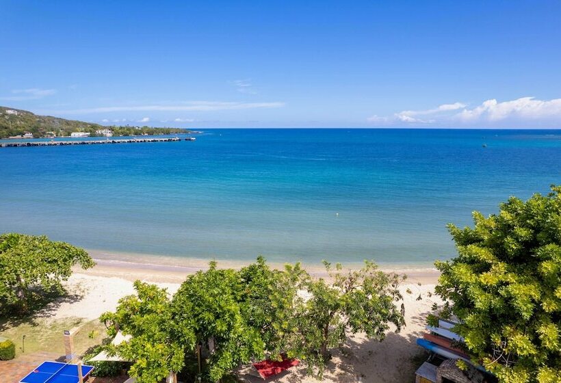 Oceanfront  Majestic Beach House  W/ Gym + Pool!