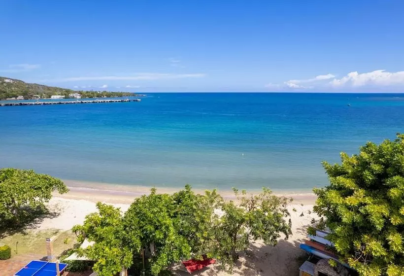Oceanfront Majestic Beach House W/ Gym + Pool!
