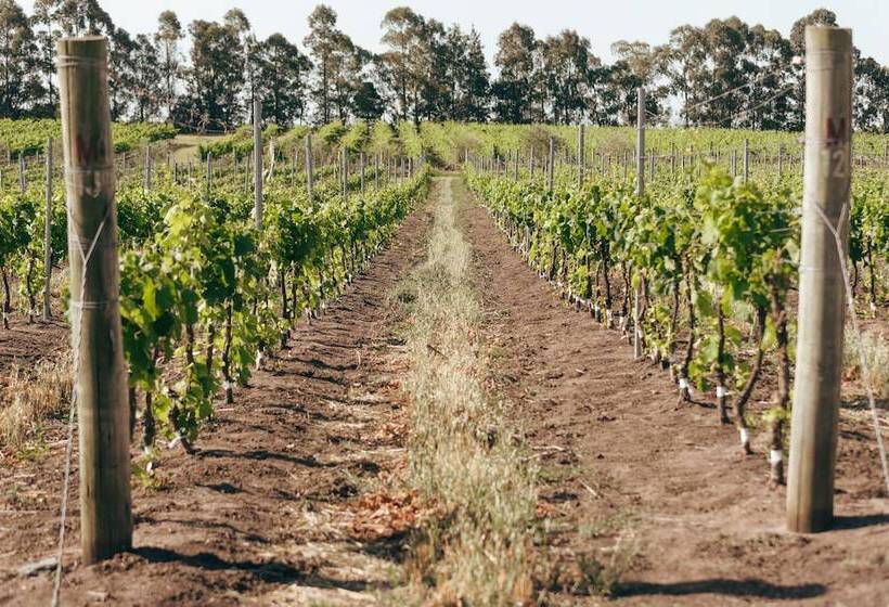 هتل Finca Del Sacramento