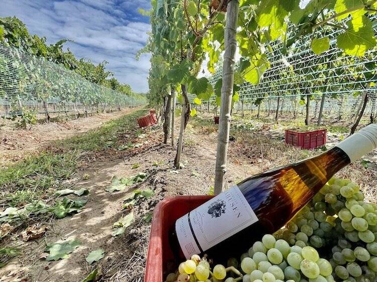 هتل Finca Del Sacramento