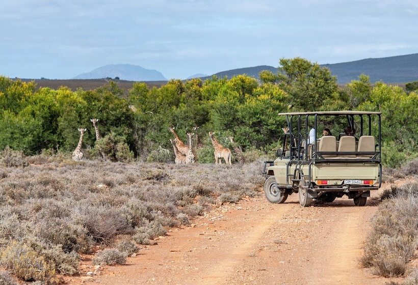 فندق Mont Eco Game Reserve