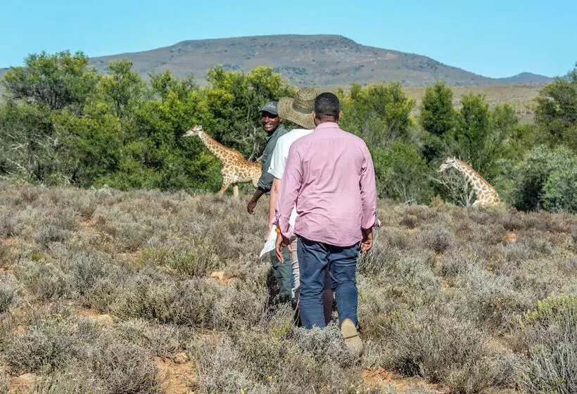 Hotelli Mont Eco Game Reserve