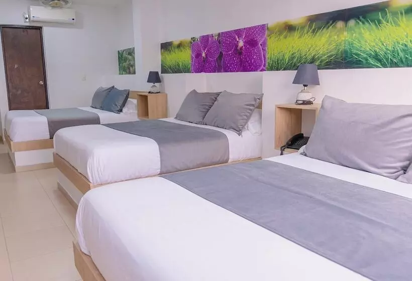 ホテル Plataneras Plaza