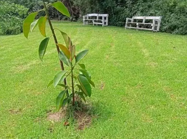هتل Sofa Camp Naivasha