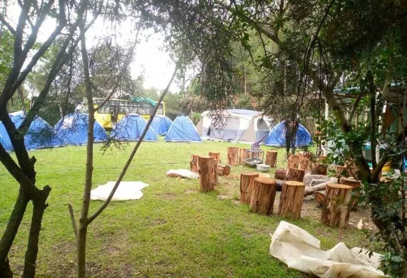 هتل Sofa Camp Naivasha