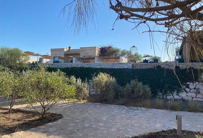 Пансион Ali Baba Infinity