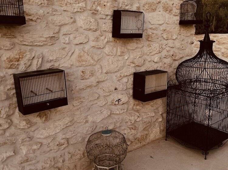 Пансион Ali Baba Infinity