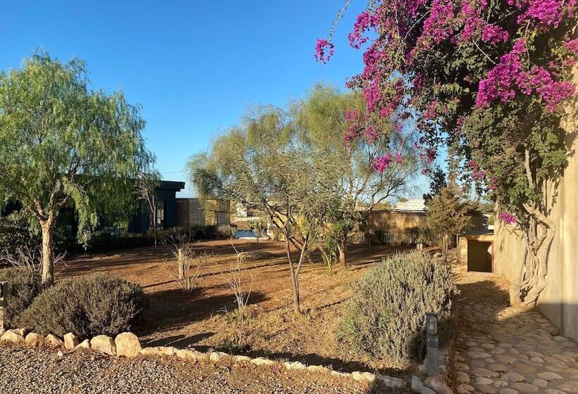 Пансион Ali Baba Infinity