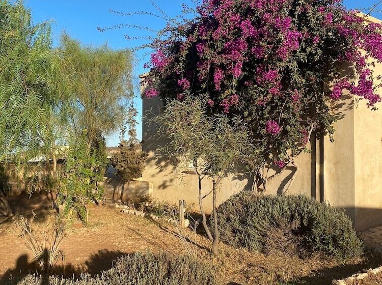 Пансион Ali Baba Infinity