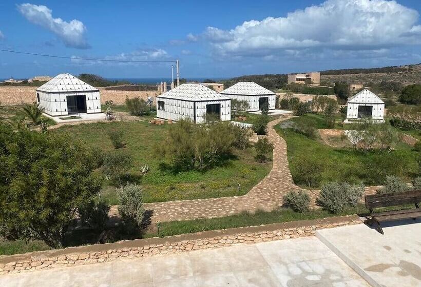 Пансион Ali Baba Infinity