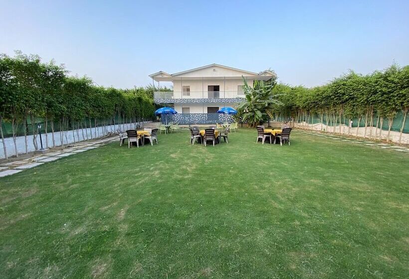 Resort Gobravo 12   Vansh 4bhk Farm W/t Pool Sec135 Noida