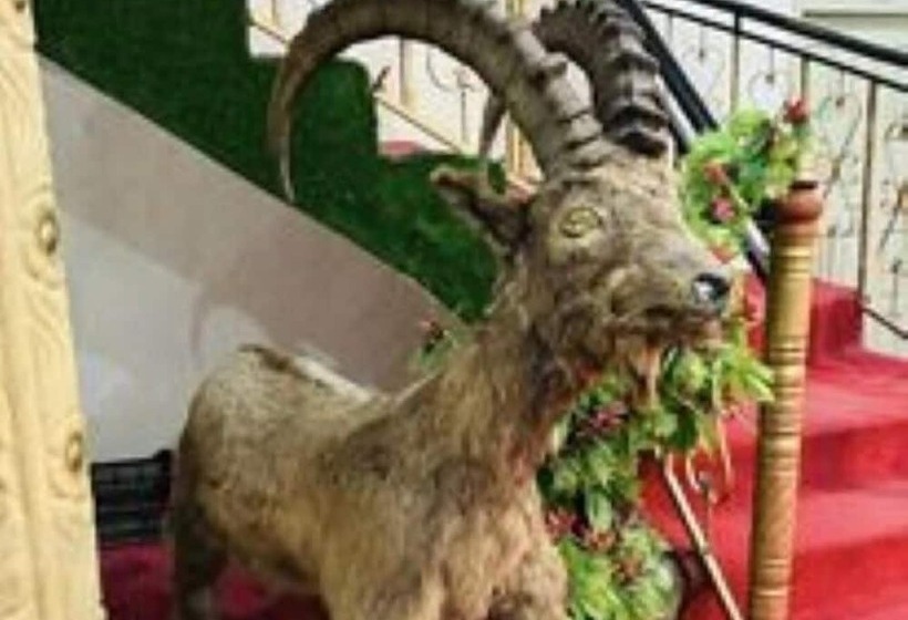 Al Madina Hotel Skardu