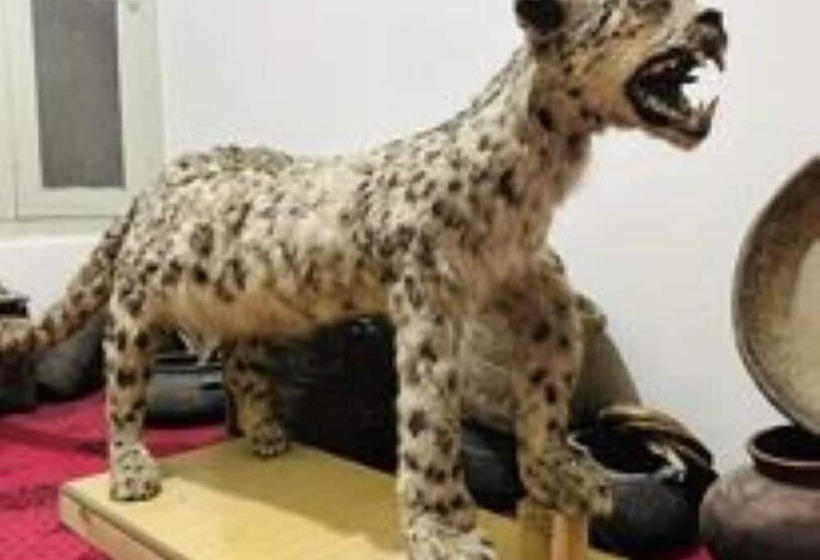 Al Madina Hotel Skardu