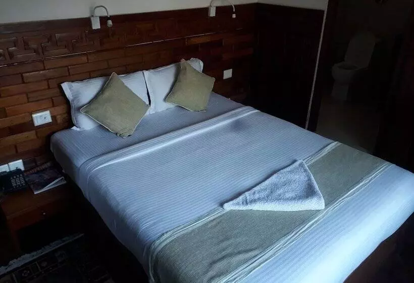 Dragon Hotel Pvt. Ltd