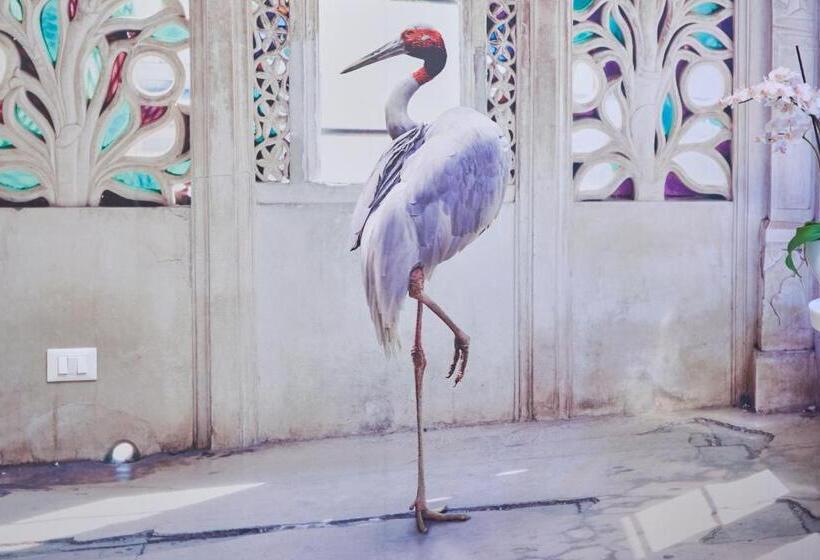 تختخواب و صبحانه Artistic Charming House