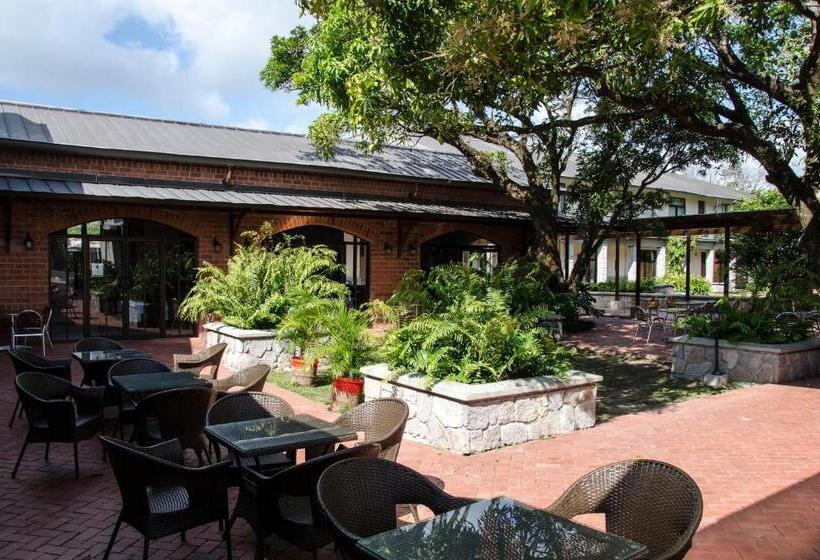 ホテル Paseo Suites El Valle, Luxury Apartments