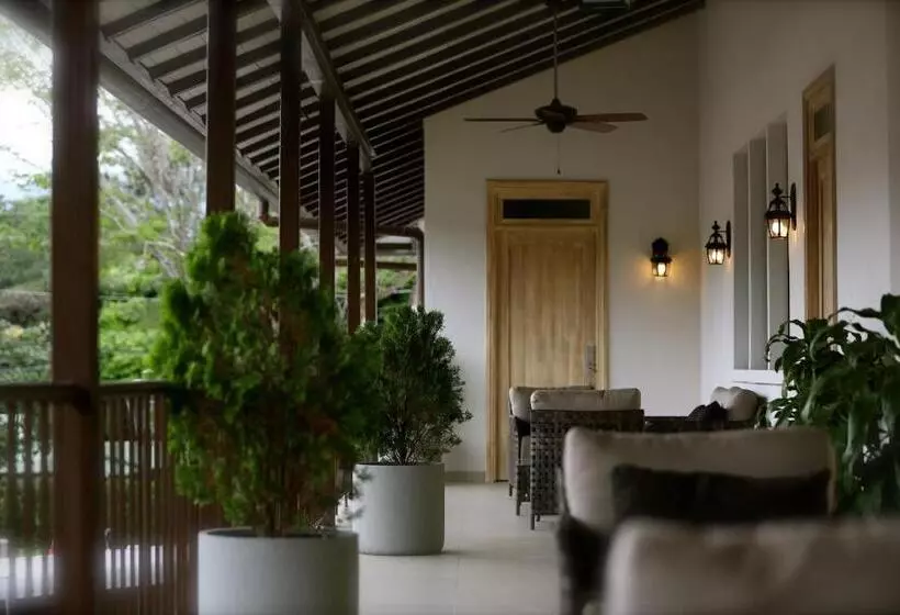 ホテル Paseo Suites El Valle, Luxury Apartments