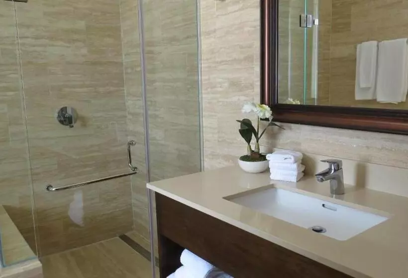 ホテル Paseo Suites El Valle, Luxury Apartments