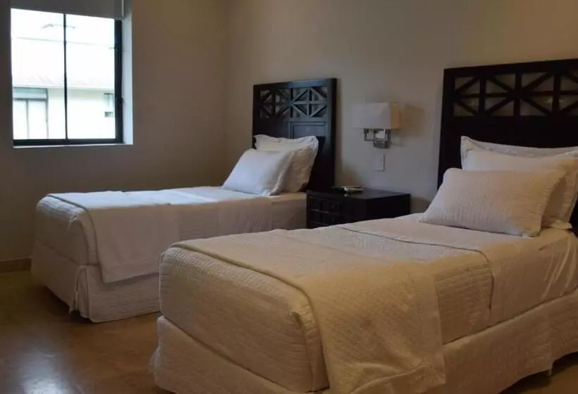 ホテル Paseo Suites El Valle, Luxury Apartments