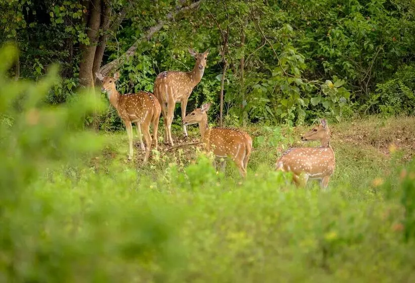 Hotelli Thuduwa Camp
