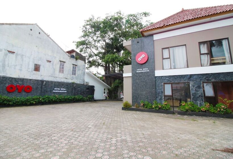 Reddoorz Plus At Hotel Sofia Pangandaran