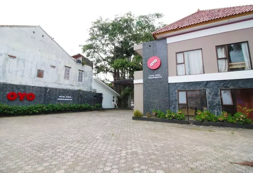 Reddoorz Plus At Hotel Sofia Pangandaran