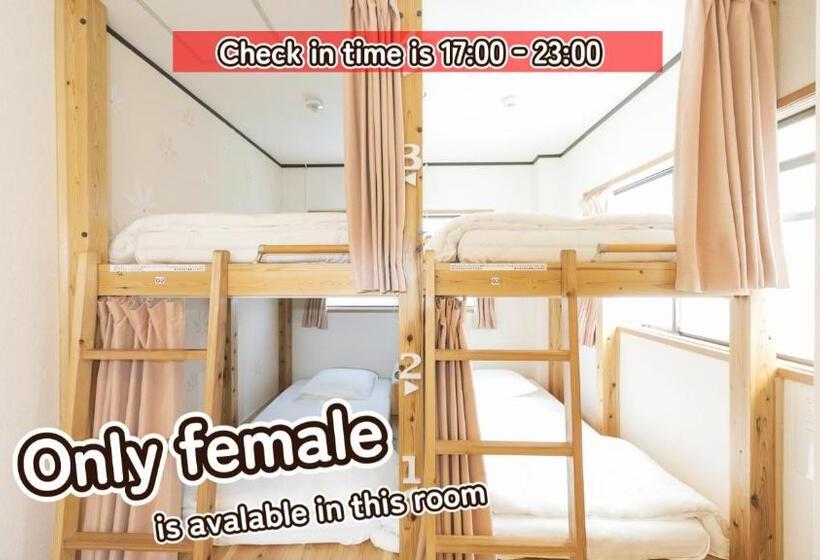 Bigtree Guest House   Hostel