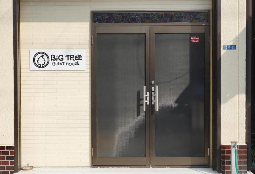 Bigtree Guest House   Hostel