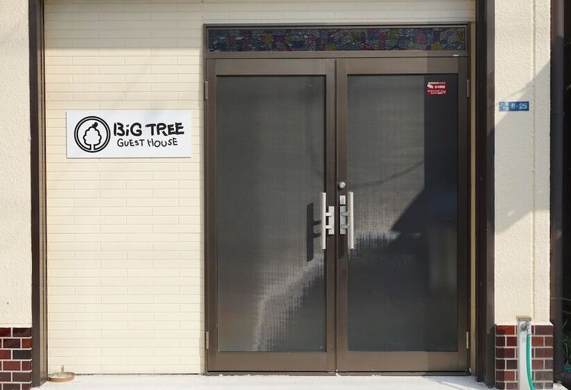 Bigtree Guest House   Hostel