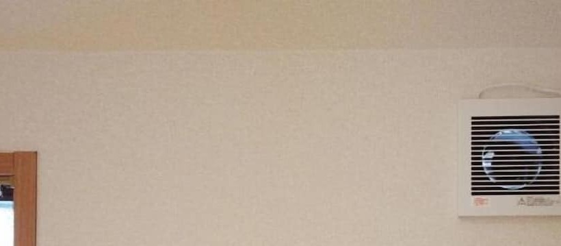 Bigtree Guest House   Hostel