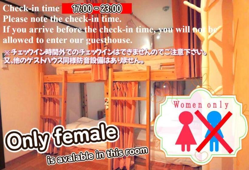 Bigtree Guest House   Hostel