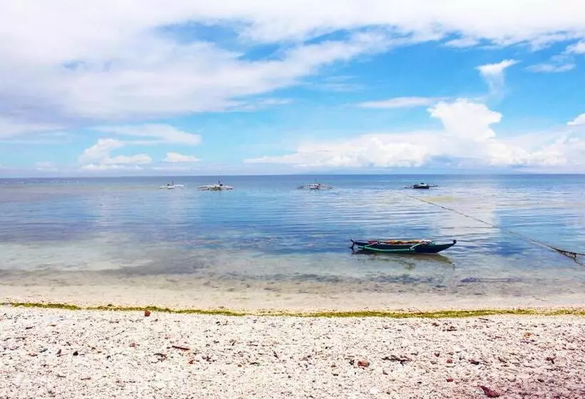 Aamiaismajoitus (B&B) Luna Oslob Travellers Inn