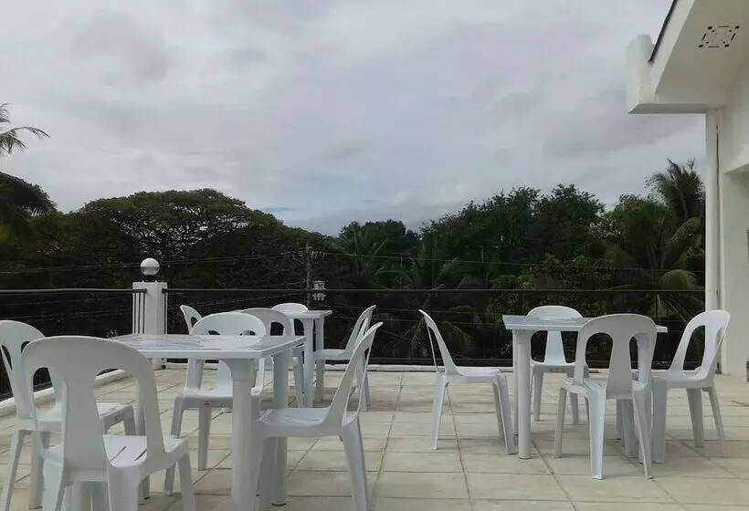 Aamiaismajoitus (B&B) Luna Oslob Travellers Inn