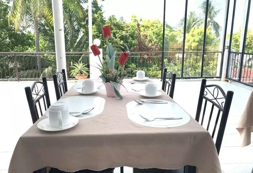 Aamiaismajoitus (B&B) Luna Oslob Travellers Inn