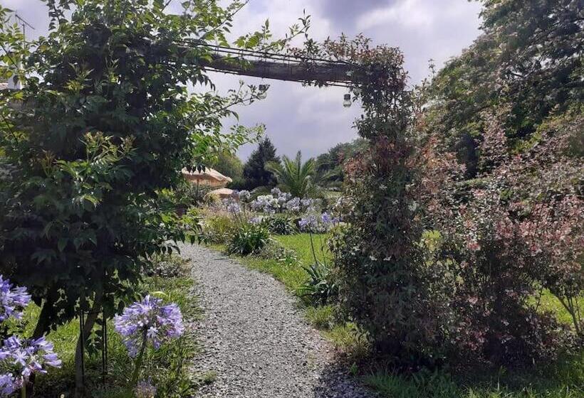 تختخواب و صبحانه Maison Hamak