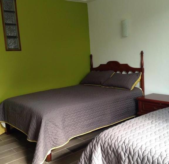 هتل Flamingos Colima