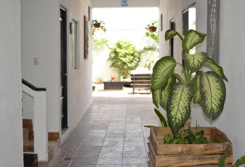 ホテル Nicte Ha Tulum