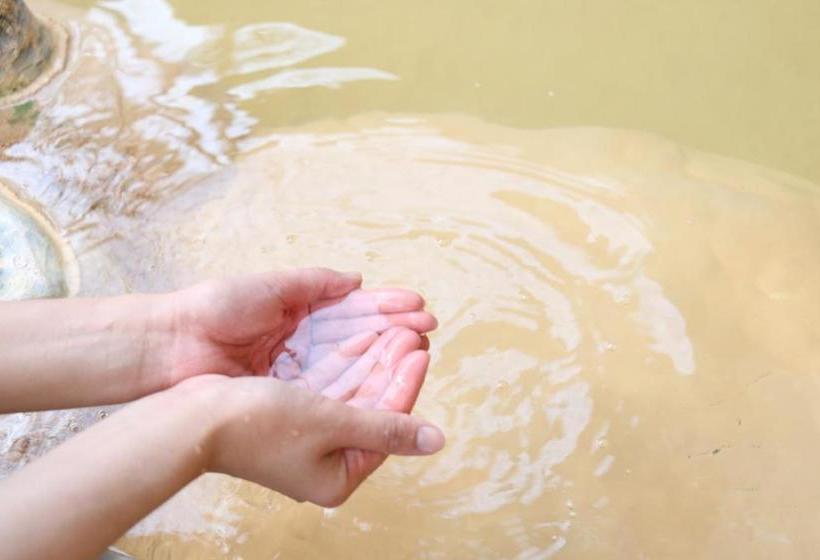 Рёкан Minshuku Shiroyama