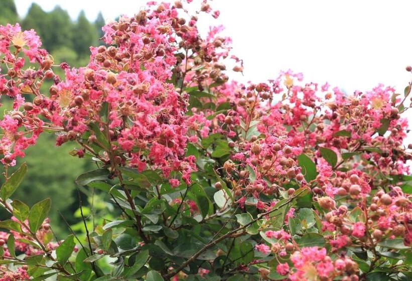 Рёкан Minshuku Shiroyama