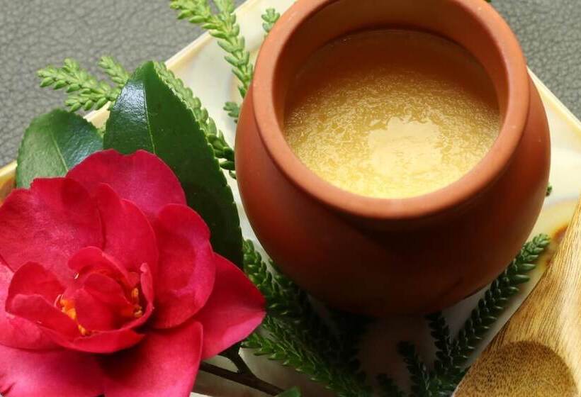 Рёкан Minshuku Shiroyama