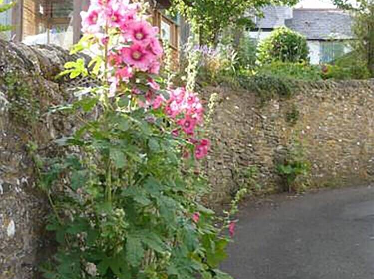 Bed and Breakfast The Tall House