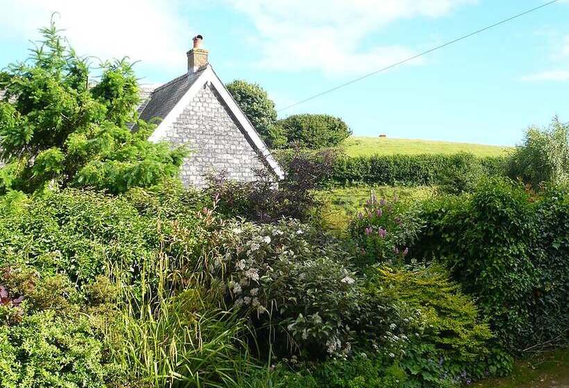 Bed and Breakfast The Tall House
