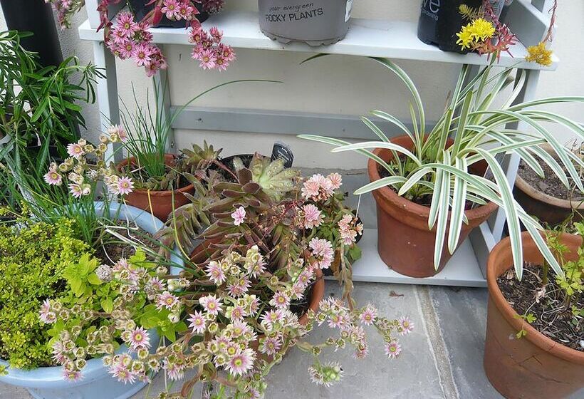 Bed and Breakfast The Tall House