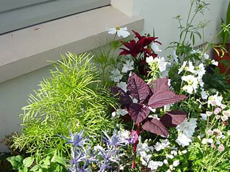 Bed and Breakfast The Tall House