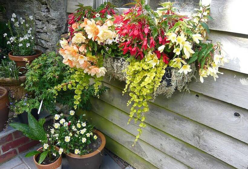 Bed and Breakfast The Tall House