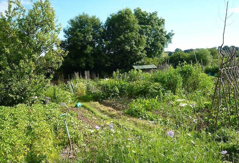 Bed and Breakfast The Tall House