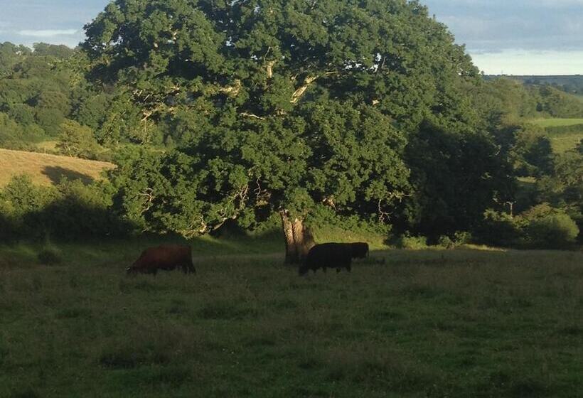 Bed and Breakfast The Tall House