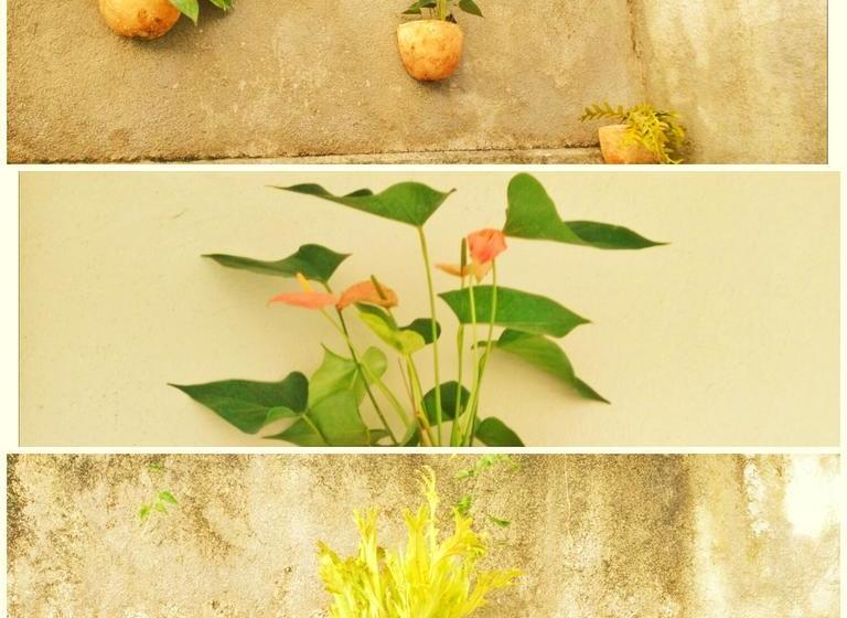 צימר The Trianon