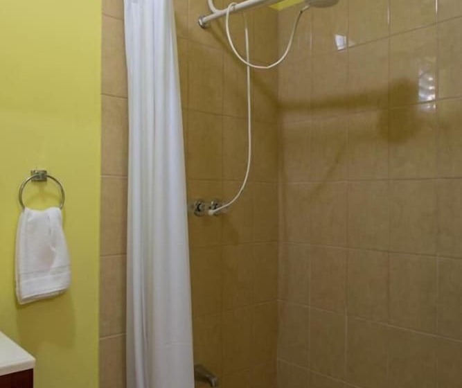 Hotel Belize Toucan Nest