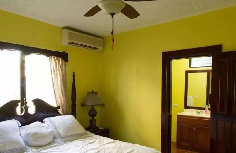 هتل Belize Toucan Nest